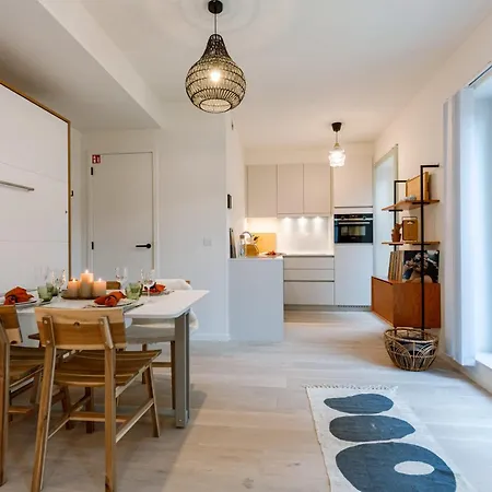 公寓 Pretty Furnished Near The Sea 奥斯滕德